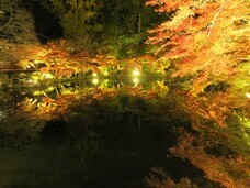 総本山醍醐寺のプレスリリース画像3