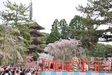 総本山醍醐寺のプレスリリース画像3