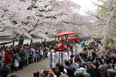 総本山醍醐寺のプレスリリース画像1