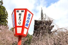 総本山醍醐寺のプレスリリース画像4