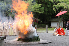 総本山醍醐寺のプレスリリース画像3