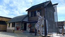 SUNZ GROUPのプレスリリース画像1