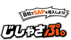 株式会社S.O.W.ホールディングスのプレスリリース画像1