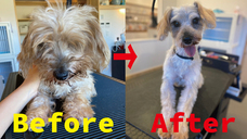 サンプロセス工芸株式会社のプレスリリース画像5