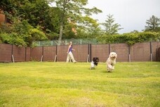 パーソルイノベーション株式会社のプレスリリース画像10