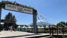 パーソルイノベーション株式会社のプレスリリース画像1