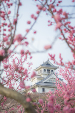 パーソルイノベーション株式会社のプレスリリース画像3