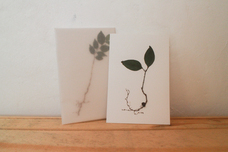 ちぐさ研究室のプレスリリース画像2