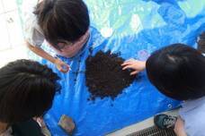 ちぐさ研究室のプレスリリース画像3