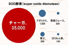 Arctic Natural株式会社のプレスリリース画像2