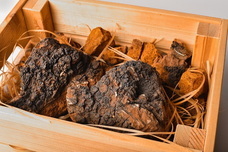 Arctic Natural株式会社のプレスリリース画像1