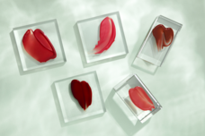 株式会社KOLLECTIONのプレスリリース画像5