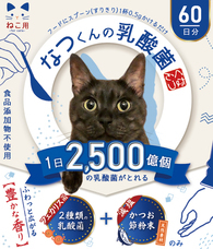 株式会社アールヴォイスのプレスリリース画像1