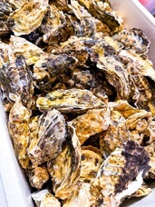 株式会社コアイノベーションのプレスリリース画像2