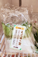 株式会社エルズコレクションのプレスリリース画像11