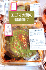 株式会社エルズコレクションのプレスリリース画像9