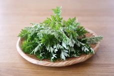 株式会社東旗のプレスリリース画像2