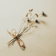 noviceのプレスリリース画像1