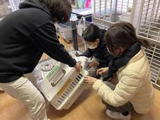一般社団法人東京都人と動物のきずな福祉協会のプレスリリース画像2