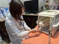 一般社団法人東京都人と動物のきずな福祉協会のプレスリリース画像3