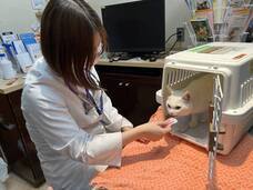 一般社団法人東京都人と動物のきずな福祉協会のプレスリリース画像2