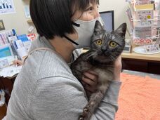 一般社団法人東京都人と動物のきずな福祉協会のプレスリリース画像3