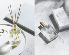 スターセンス株式会社のプレスリリース画像1