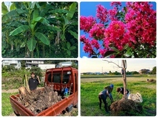 太陽の村のプレスリリース画像10