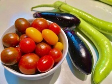 太陽の村のプレスリリース画像7