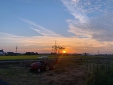 太陽の村のプレスリリース画像1