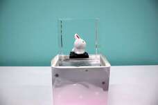 株式会社小野田商店のプレスリリース画像4