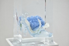 株式会社小野田商店のプレスリリース画像11