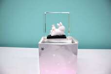 株式会社小野田商店のプレスリリース画像3