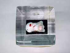 株式会社小野田商店のプレスリリース画像6