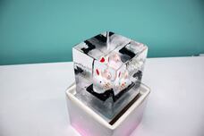 株式会社小野田商店のプレスリリース画像7