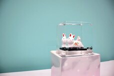 株式会社小野田商店のプレスリリース画像1