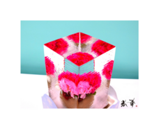 株式会社小野田商店のプレスリリース画像2