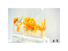 株式会社小野田商店のプレスリリース画像3