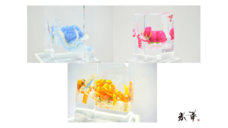 株式会社小野田商店のプレスリリース画像10