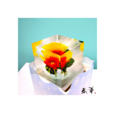 株式会社小野田商店のプレスリリース画像6