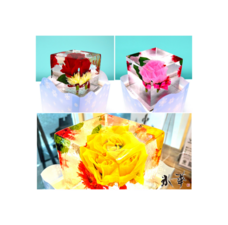 株式会社小野田商店のプレスリリース画像11