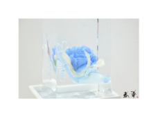 株式会社小野田商店のプレスリリース画像4