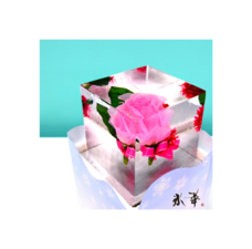 株式会社小野田商店のプレスリリース画像7