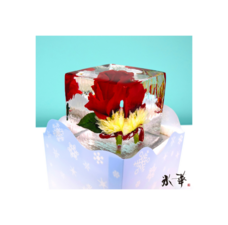 株式会社小野田商店のプレスリリース画像8