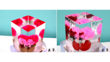 株式会社小野田商店のプレスリリース画像9