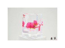 株式会社小野田商店のプレスリリース画像5