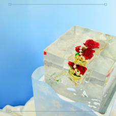 株式会社小野田商店のプレスリリース画像7