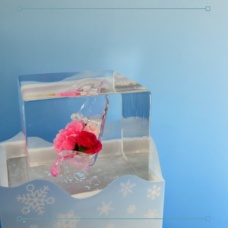 株式会社小野田商店のプレスリリース画像8