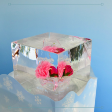 株式会社小野田商店のプレスリリース画像2