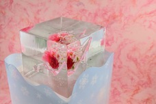 株式会社小野田商店のプレスリリース画像4